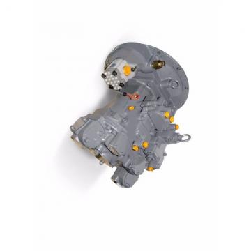 Case 155817A1 Hydraulic Final Drive Motor